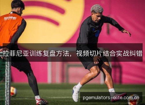 拉菲尼亚训练复盘方法，视频切片结合实战纠错